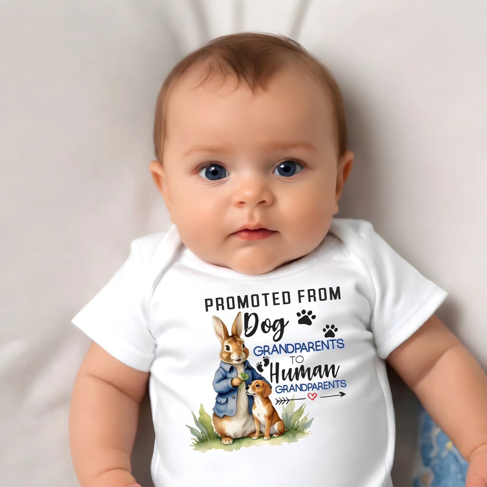 peter rabbit promoted from dog grandparents to human grandparents baby announcement